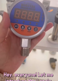 The Longlv YL - 819E pressure gage