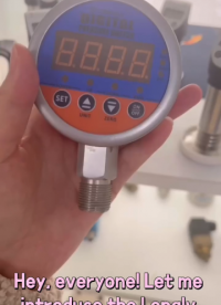 LONGLV YL - 819E,Electric contact pressure gauge