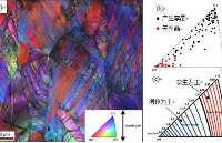 電子背散射<b class='flag-5'>衍射</b>(EBSD)技術在<b class='flag-5'>孿</b><b class='flag-5'>晶</b>結構<b class='flag-5'>分析</b>中的應用研究