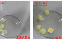 LED光源抗硫化实验