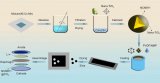 利用納米TiO2包LiNi0.8Co0.1Mn0.1O2制備出三元鋰電池