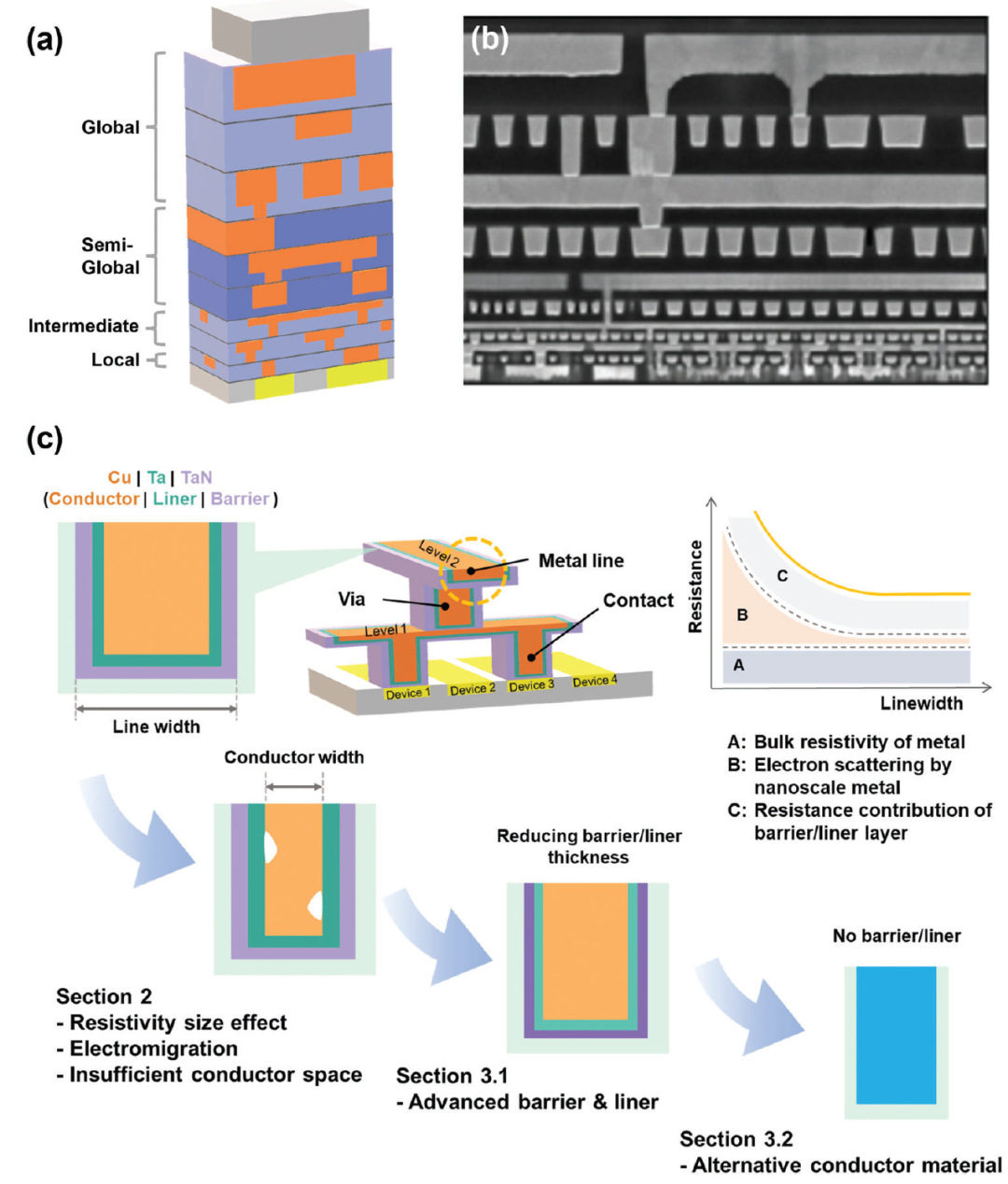 a97dd3d0-aecb-11ef-93f3-92fbcf53809c.png