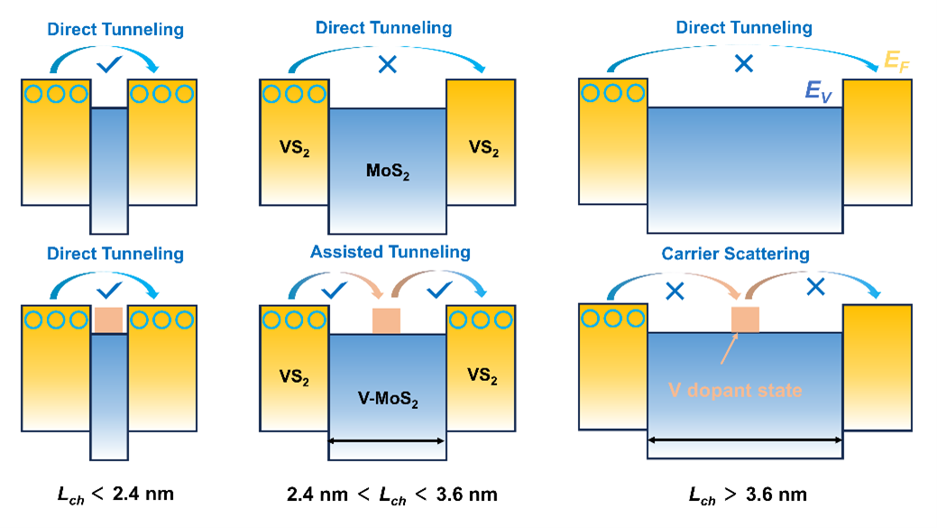 e55fadc4-b2db-11ef-93f3-92fbcf53809c.png