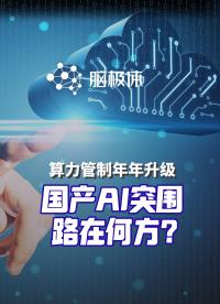 国产算力突围，找到了哪三条路径？