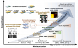 <b class='flag-5'>选择性</b>沉积技术介绍