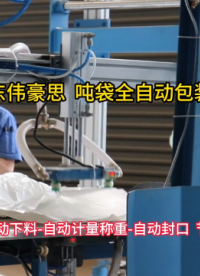 供應鋁粉全自動噸包機 噸袋全自動包裝機廠家 山東偉豪思 #機械 #自動化設備 