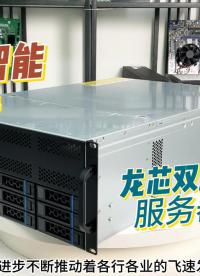 集特-龍芯雙路3c5000主板服務(wù)器