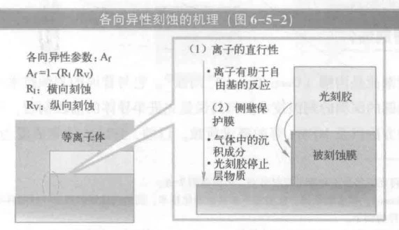 晶圆