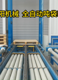 智能噸袋裝車機(jī)器人解決方案、硫酸鎳噸袋自動裝車機(jī)案例