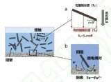 定向石墨烯復合<b class='flag-5'>防腐</b><b class='flag-5'>涂層</b>的研究進展