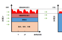 芯?？萍糃S1262：高精度全場景PPG AFE