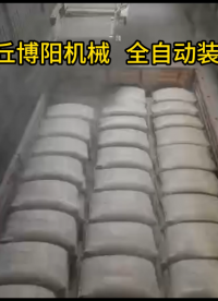 江蘇全自動裝車機(jī)現(xiàn)場實拍、粉碳全自動裝車系統(tǒng)展示