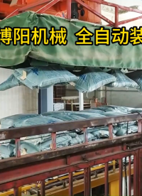 石墨全自動裝車機(jī)器人特點、桁架全自動裝車機(jī)實拍
