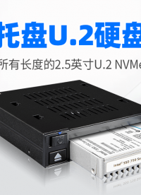 單盤位 U.2 NVMe SSD 熱插拔硬盤盒，支持高達64Gbps傳輸速率 #硬盤盒 #NVMe 