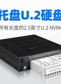 單盤位 U.2 NVMe SSD 熱插拔硬盤盒，支持高達(dá)64Gbps傳輸速率 #硬盤盒 #NVMe 