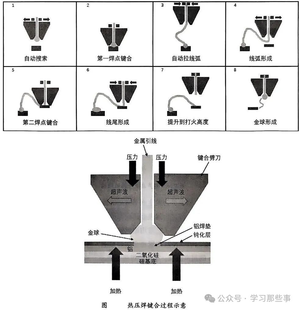 abee17e2-c659-11ef-9310-92fbcf53809c.jpg