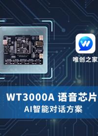 唯創知音WT3000A AI智能對話方案介紹