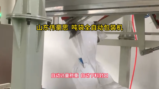 定制PE粉料吨包包装机 全自动吨袋包装秤视频 山东伟豪思