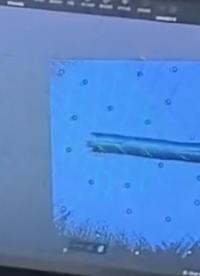 CASAIM三維掃描儀激光掃描甘蔗尺寸外觀檢測(cè)