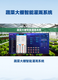 智能灌溉系統(tǒng)助力蔬菜大棚：自動(dòng)化操作，遠(yuǎn)程管理更高效 #農(nóng)業(yè)物聯(lián)網(wǎng) #plc #物聯(lián)網(wǎng) 