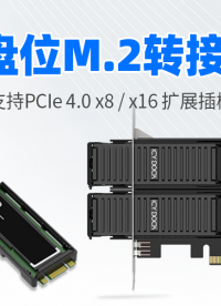 PCIe 4.0 双盘位转接卡：可拆卸式 M.2 NVMe 硬盘解决方案 #硬盘盒 #转接卡 