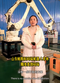 帕斯科碼垛機器人本體選購指南
