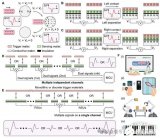 漢陽大學：研發<b class='flag-5'>自供電</b>、原材料基傳感器，開啟人機交互新篇章