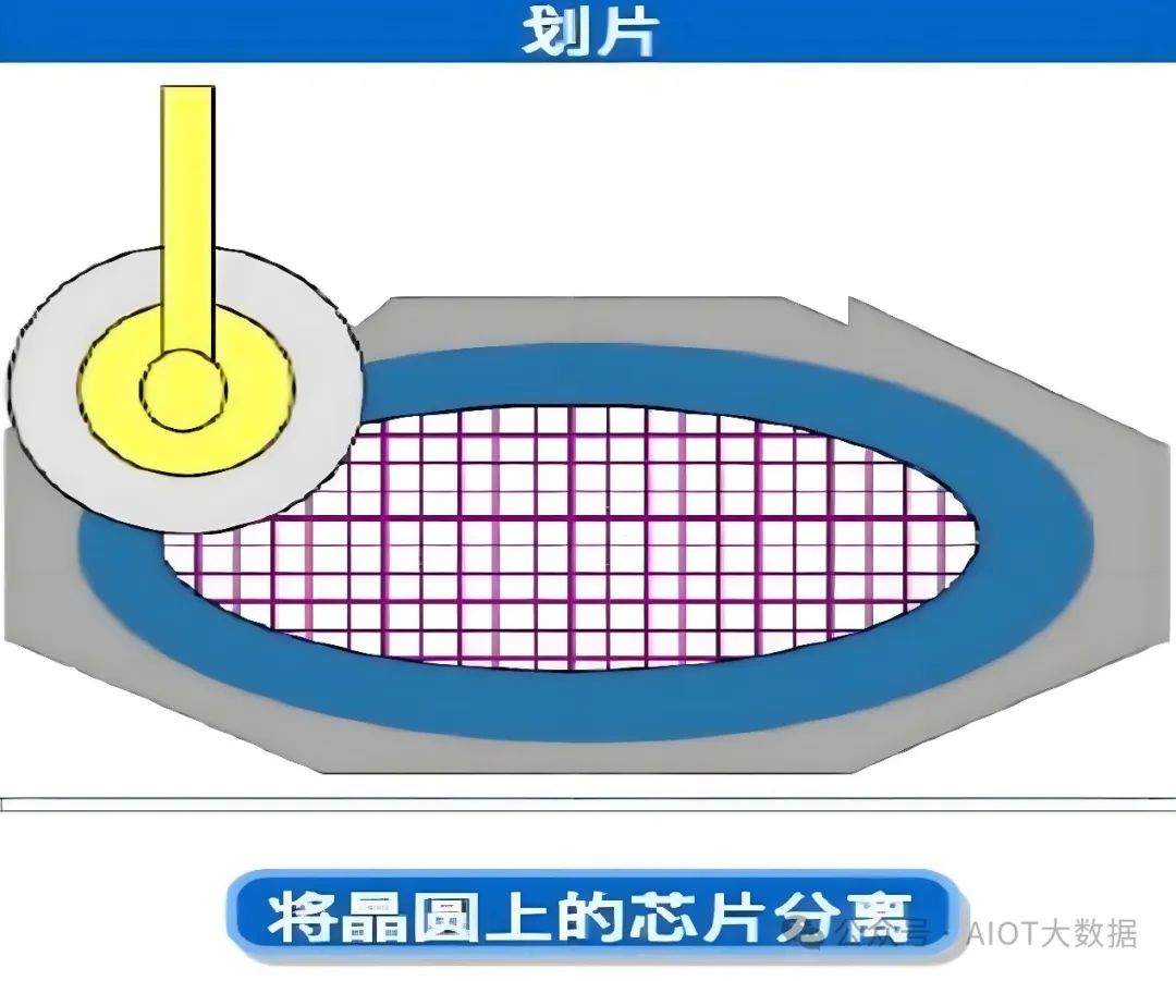 a21d33c4-cbd6-11ef-9310-92fbcf53809c.jpg