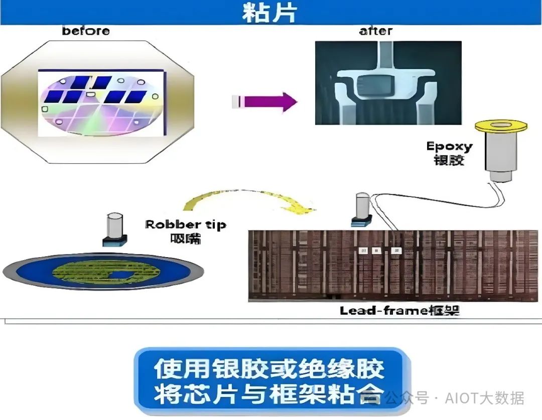 a23aa4d6-cbd6-11ef-9310-92fbcf53809c.jpg