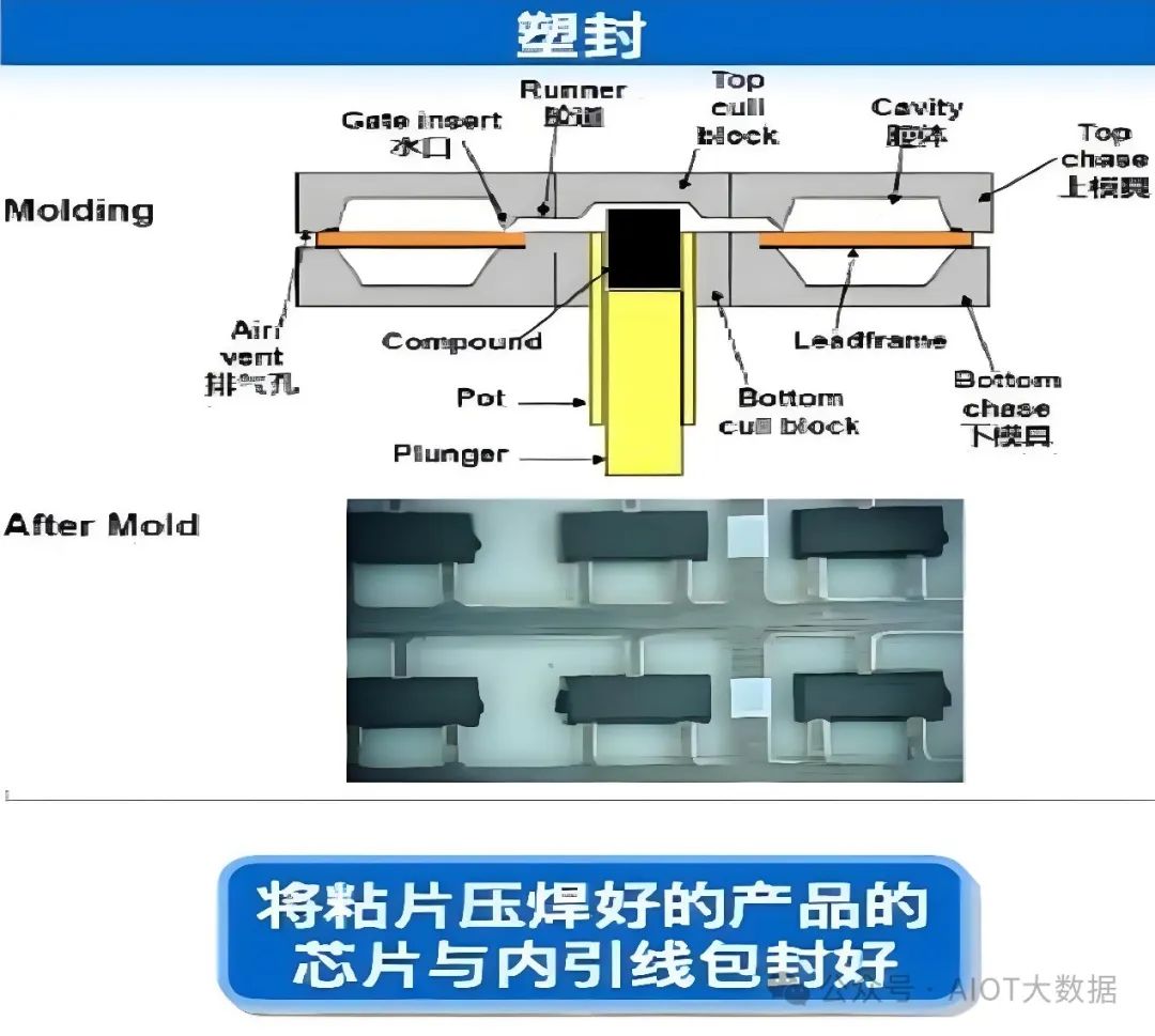 a2a83cc6-cbd6-11ef-9310-92fbcf53809c.jpg