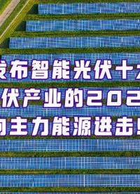 智能光伏的2025：向主力能源進擊！