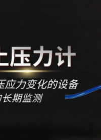 振弦式土壓力計傳感器：精確測量土中壓應力變化的設備 多種土體結構的長期監測