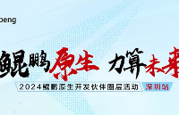 声扬科技出席“鲲鹏原生开发伙伴圈层活动·深圳站”