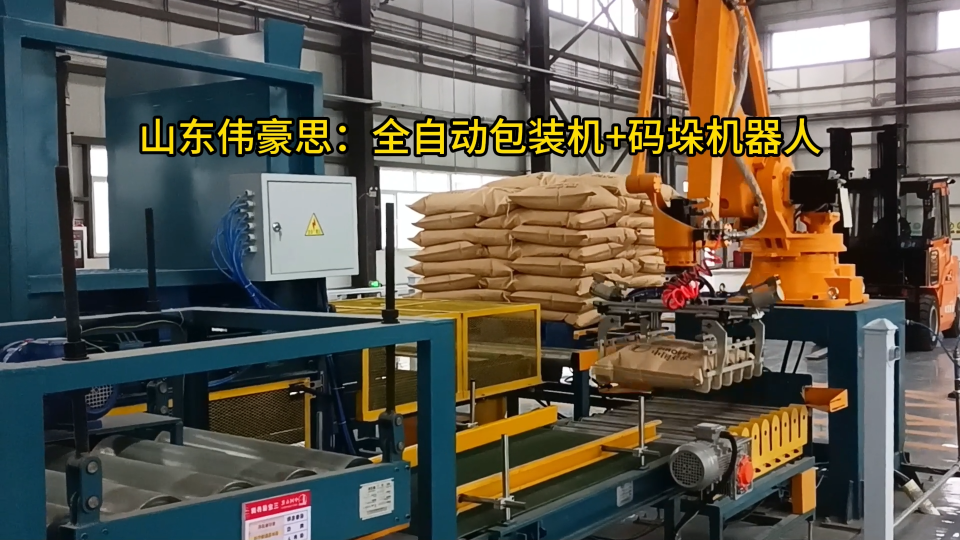 碳酸氫銨自動碼垛機器人 全自動包裝碼垛生產(chǎn)線廠家