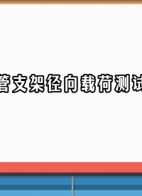 賽銳特-血管支架徑向載荷測(cè)試儀-視頻解說(shuō)