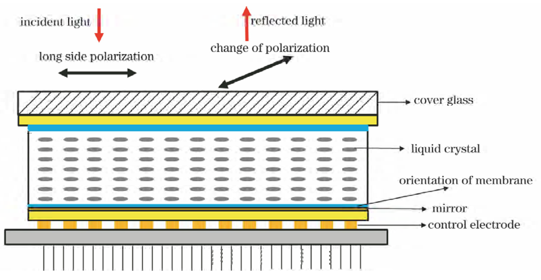 e41e5172-d2de-11ef-9310-92fbcf53809c.png