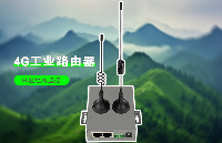 森林网络部署，工业<b class='flag-5'>4G</b><b class='flag-5'>路由器</b>实现林区<b class='flag-5'>组网</b>远程监控