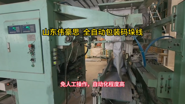 東營全自動包裝碼垛機廠家 碳酸氫銨自動包裝碼垛線 山東偉豪思