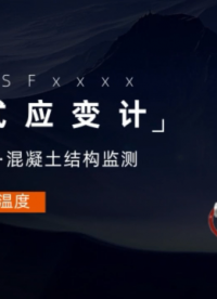 振弦式應變計 混凝土結構監測應變和溫度GEO SFxxxx系列