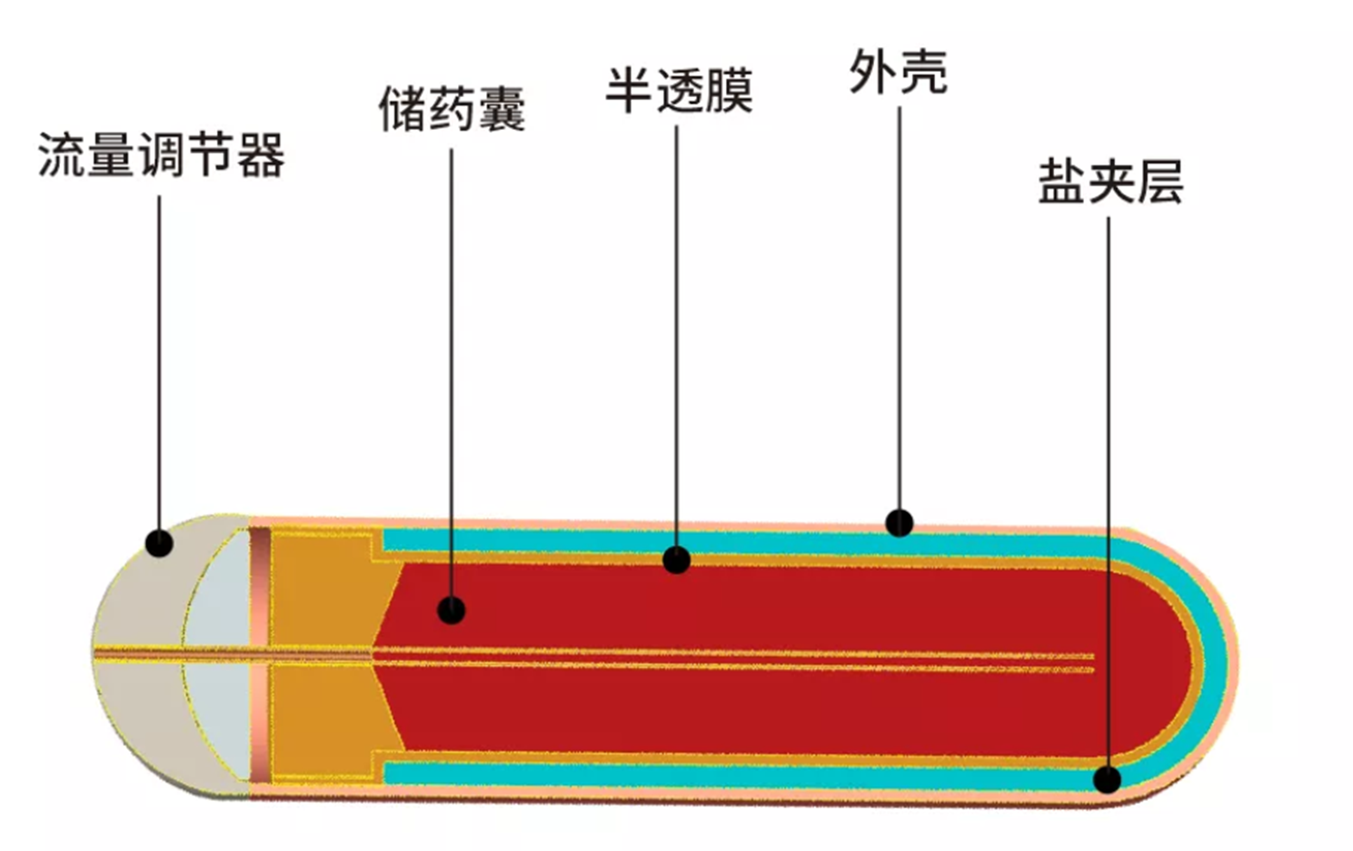 <b class='flag-5'>機器</b>視覺技術助力<b class='flag-5'>醫藥</b>植入式緩釋泵直徑自動化測量