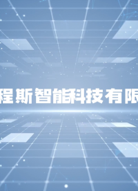 程斯-血管支架扭转结合强度测试仪-AI详细介绍