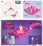 研發<b class='flag-5'>一種</b>抗拉伸干擾的高靈敏度柔性壓力<b class='flag-5'>傳感</b>織物