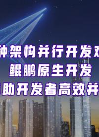 為開發(fā)者“并軌”，鯤鵬原生開發(fā)如何推動原生創(chuàng)新？