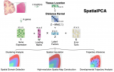 数据降维聚类工具介绍——SpatialPCA