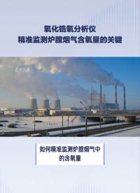 氧化鋯氧分析儀精準監測爐膛煙氣含氧量的關鍵#農業物聯網 #專科生 #plc教學 #警車燈電路 #溶氧儀校準 