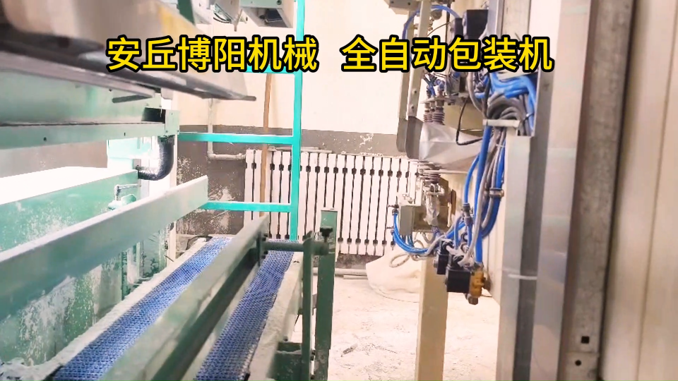 對氯苯氨全自動包裝機、山東全自動包裝碼垛生產(chǎn)線