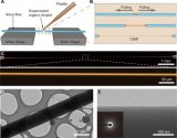 童利民、郭欣<b class='flag-5'>研究</b><b class='flag-5'>團隊</b>發文報道有機小分子冰<b class='flag-5'>微</b>納光纖