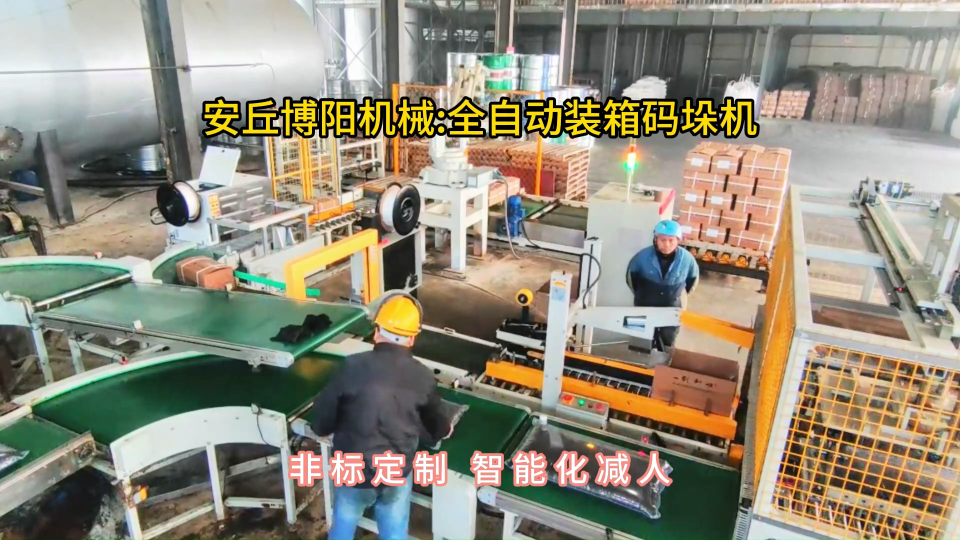 顆粒料全自動裝箱碼垛機，智能裝箱碼垛裝置組成#全自動裝箱碼垛機
 #全自動碼垛機
 