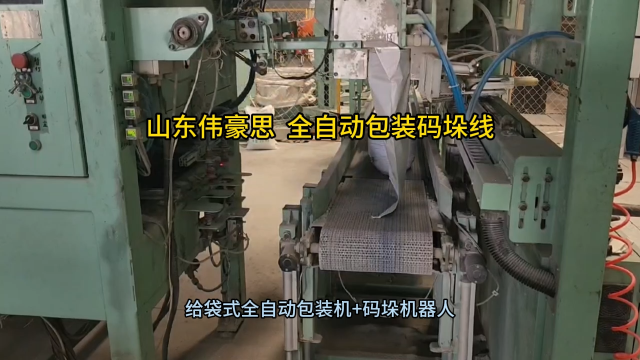 定制石灰自動包裝碼垛機 全自動包裝碼垛線實拍 山東偉豪思