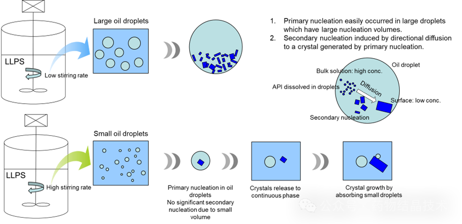 bc671e0c-ec06-11ef-9310-92fbcf53809c.png